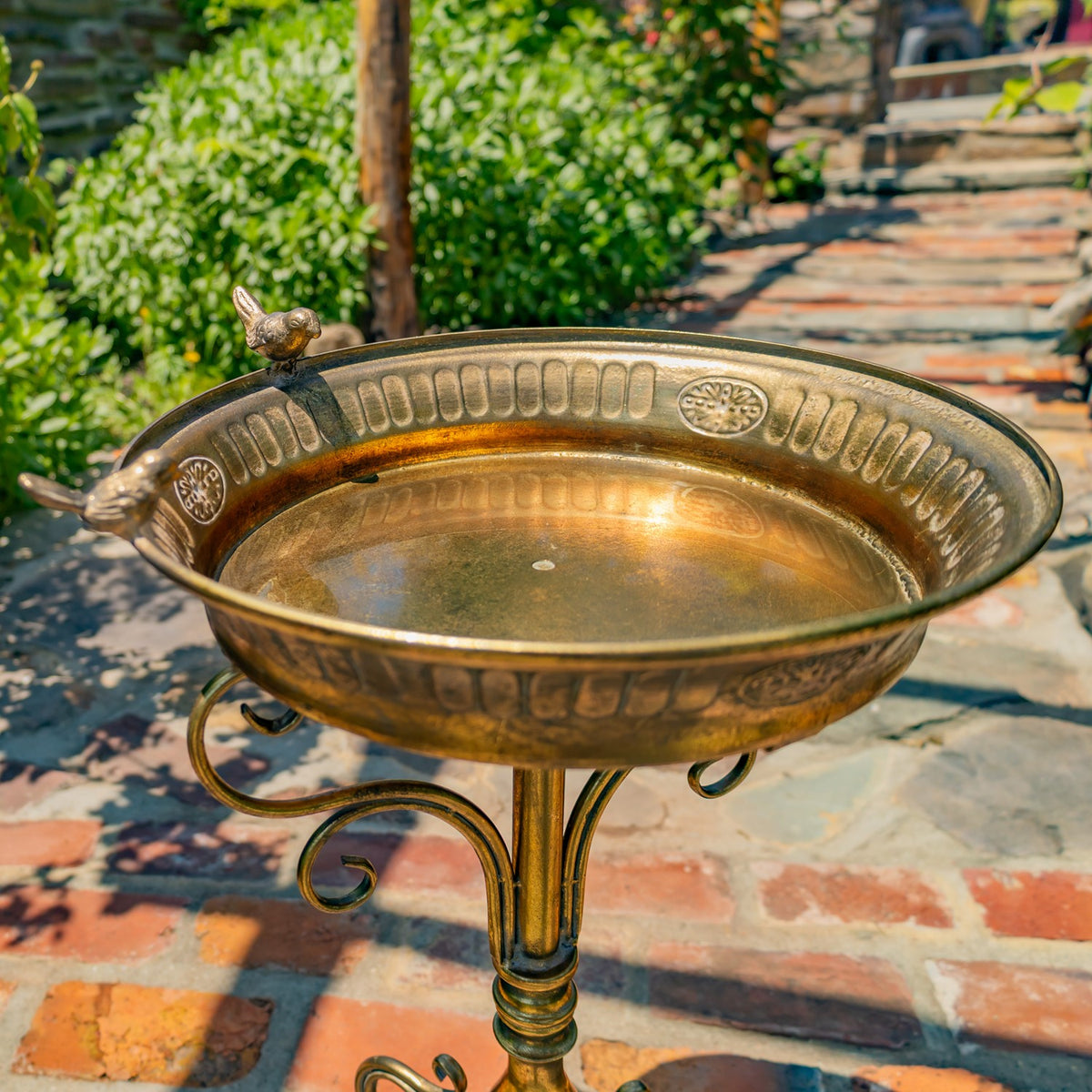 25.4" Tall Birdbath-Feeder with Ornate Stand