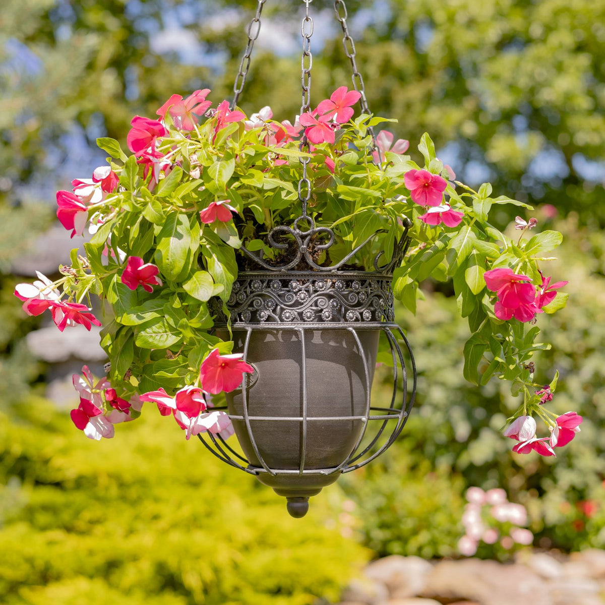Side view of a suspended ornate planter overflowing with pink flowers and leafy vines.