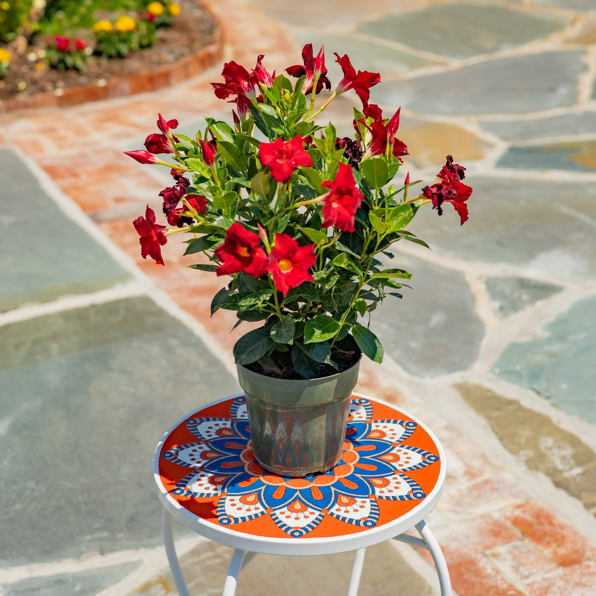 "Tivoli" 22" Tall Mosaic Pedestal Plant Stand - White/Red