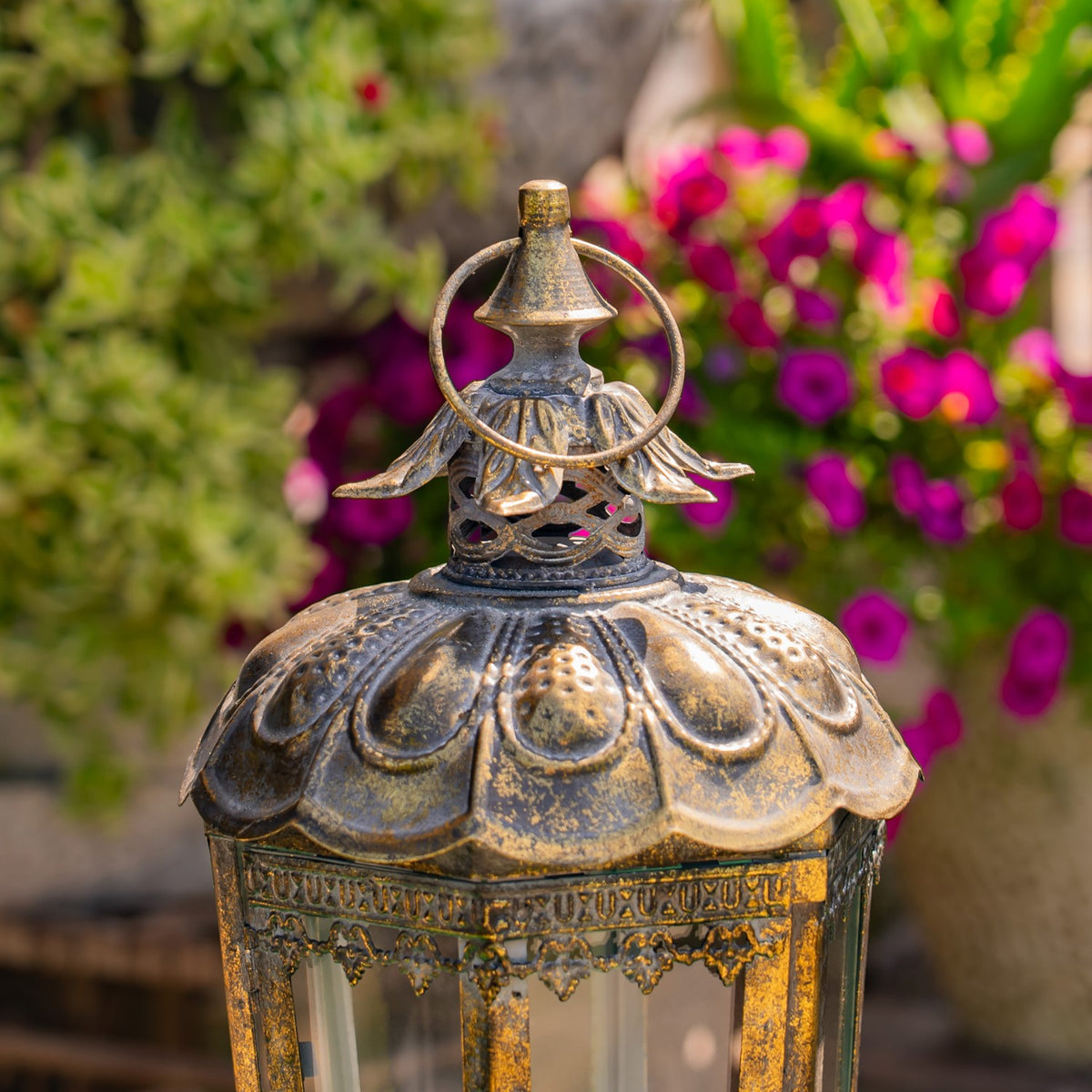 Tall Embellished Iron/Glass Terrarium "Davitiani"