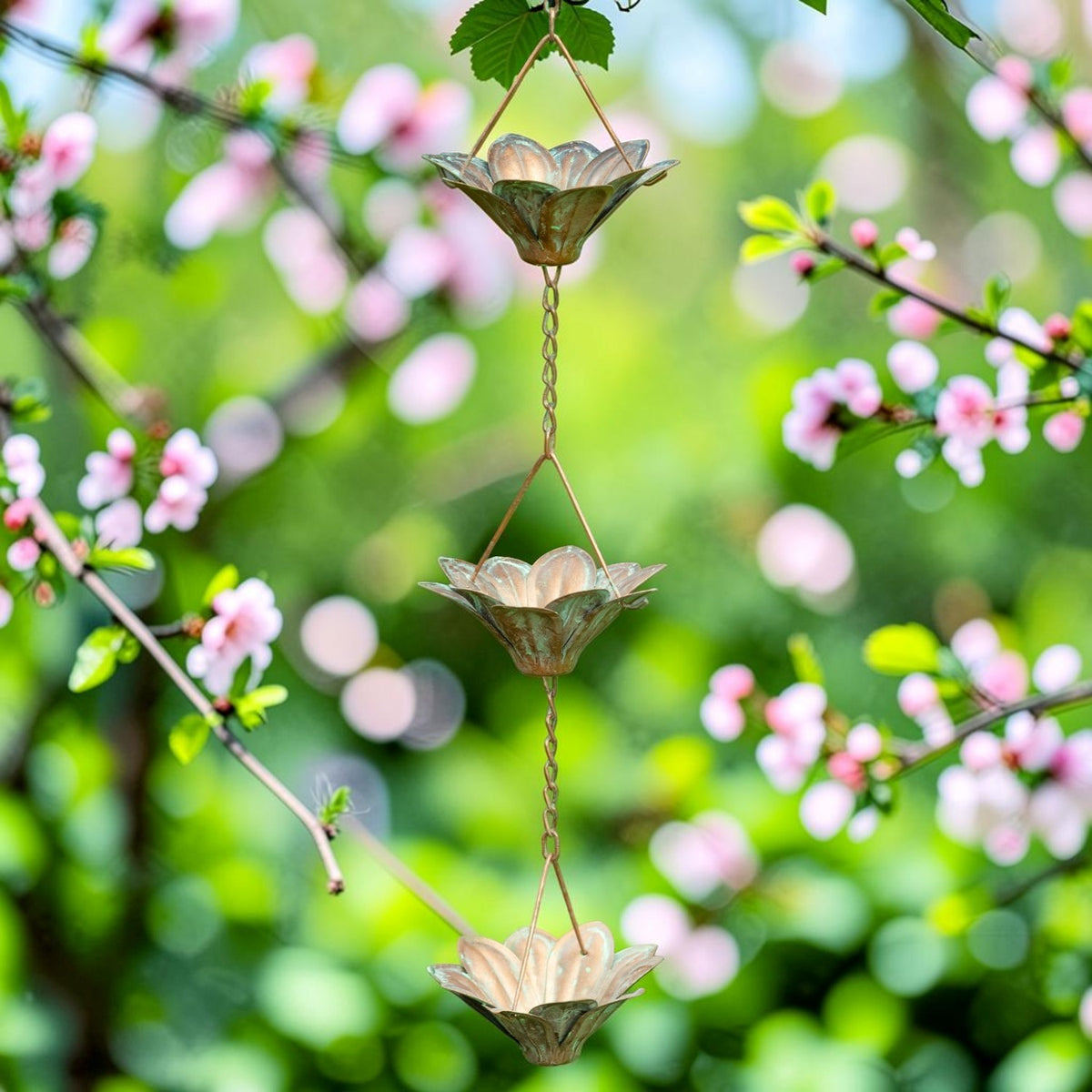 Three flower-shaped cups hang in a vertical row on a metal rain chain among flowering branches.