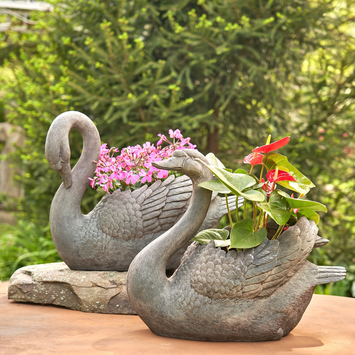 Set of 2 Magnesium Swan Planters "Derek & Odette"
