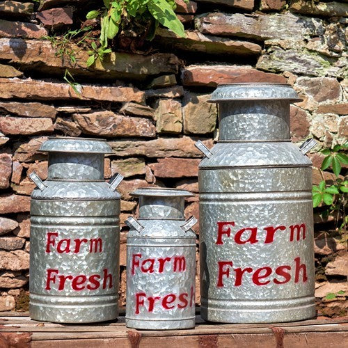 Three galvanized milk-can planters in different sizes stand in a row against a stone wall.