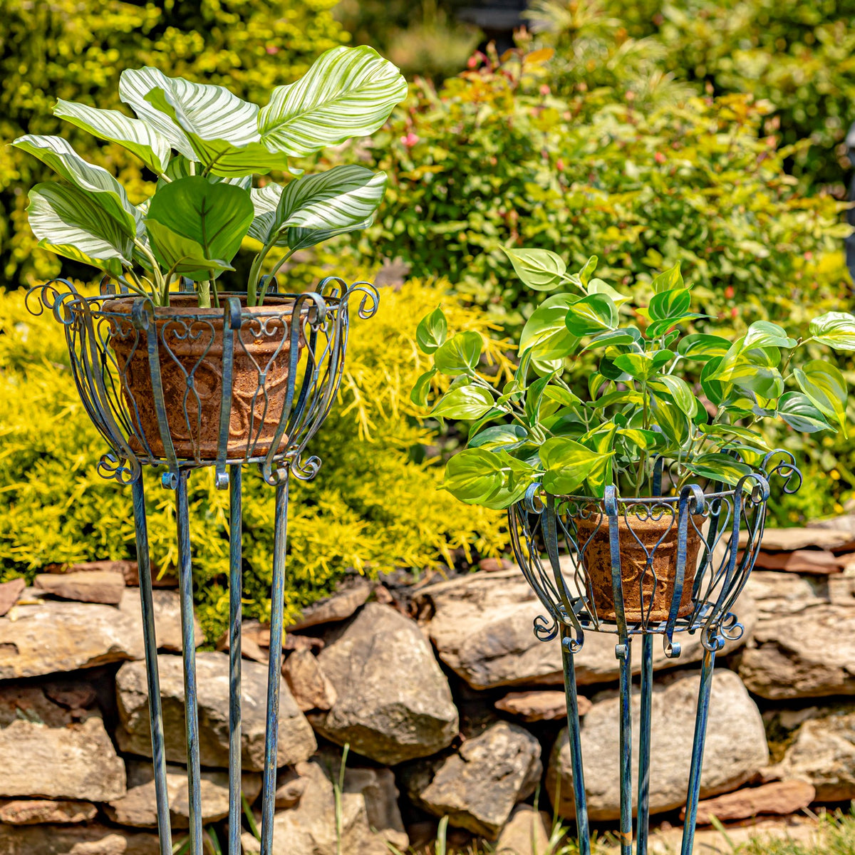 Set of 2 Tall Iron Basket Plant Stands "Stephania"