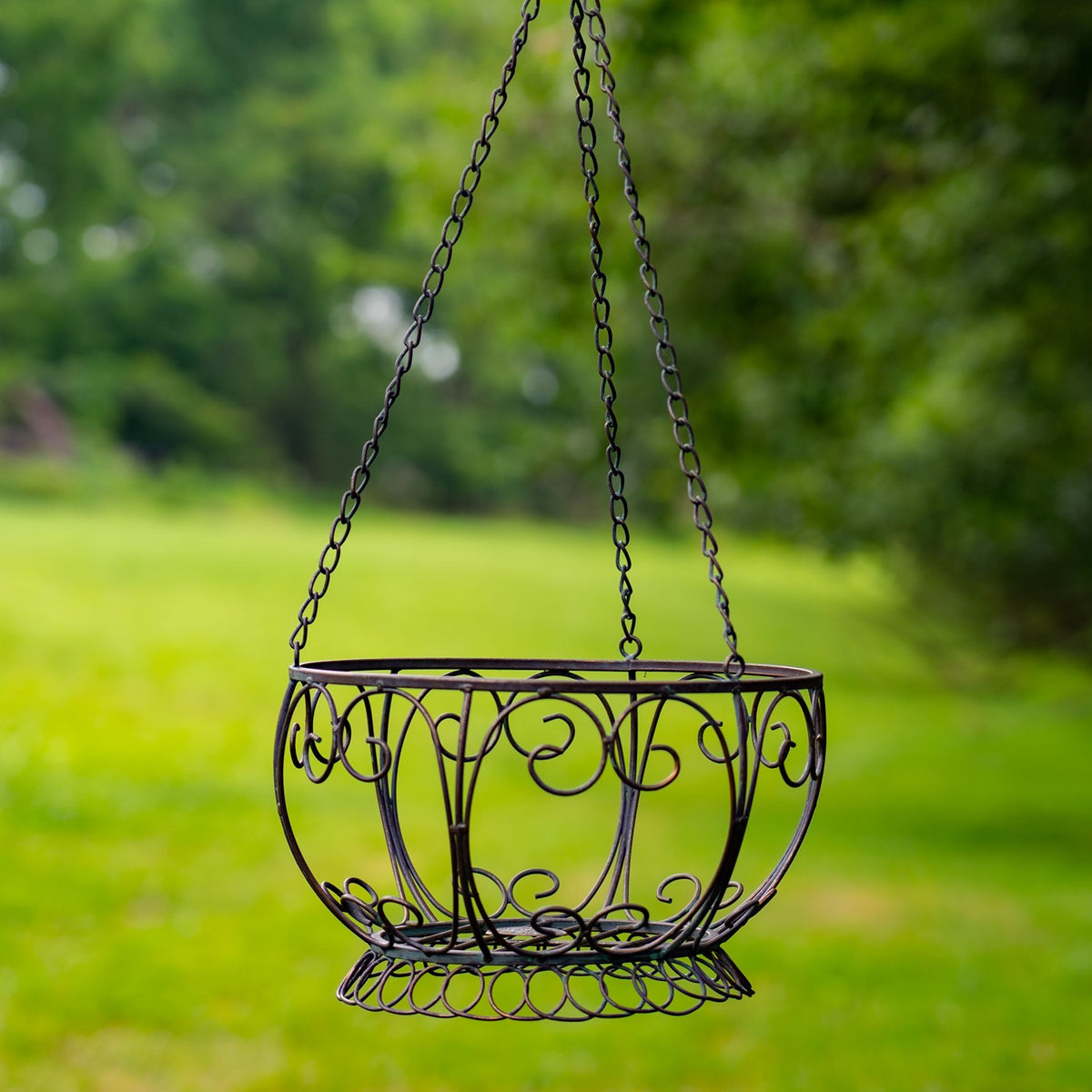 Ornate dark metal hanging basket with curled scrollwork and chains, suspended against a green garden backdrop.