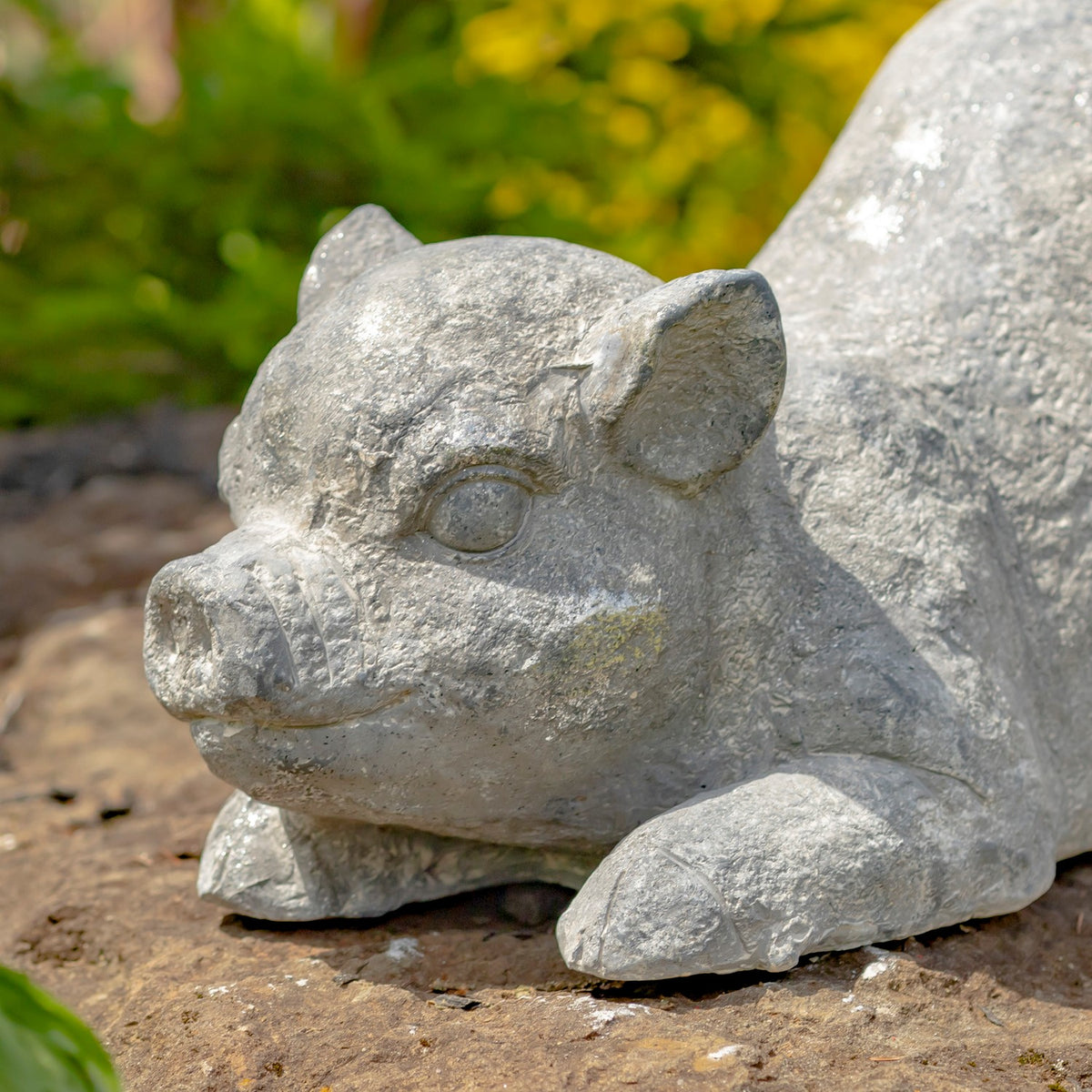 Small Magnesium Piglet Statue "Truffles"