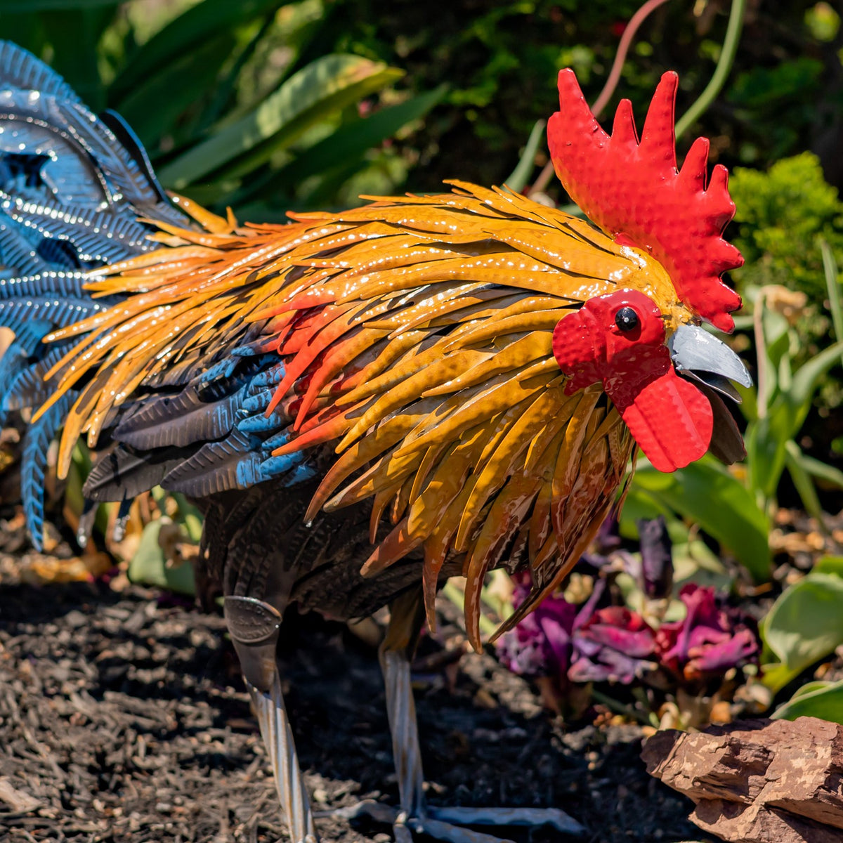 Close view of the rooster's layered orange, red, and dark feathers and metal legs.