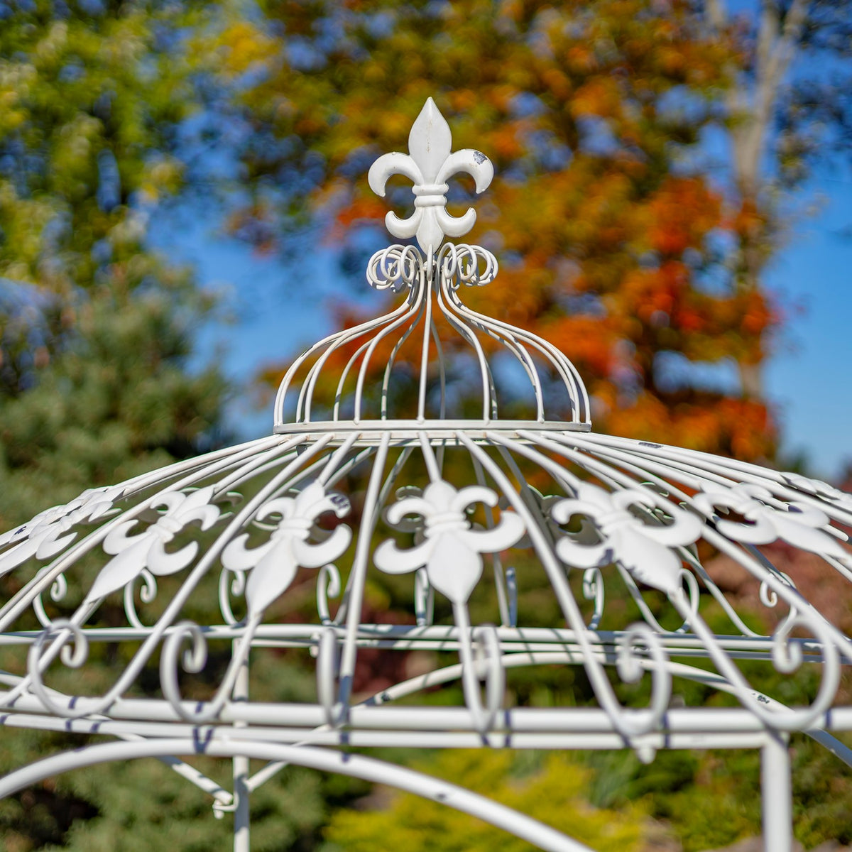 Close-up of the white iron canopy’s curved ribs and fleur-de-lis finial against trees.