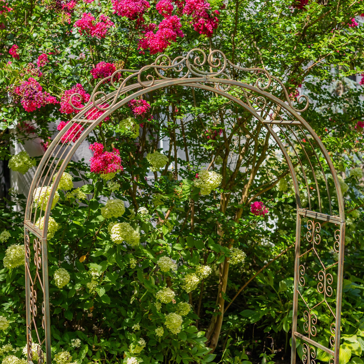 Arched metal garden frame with decorative scrollwork stands among leafy shrubs and bright pink and white flowers.