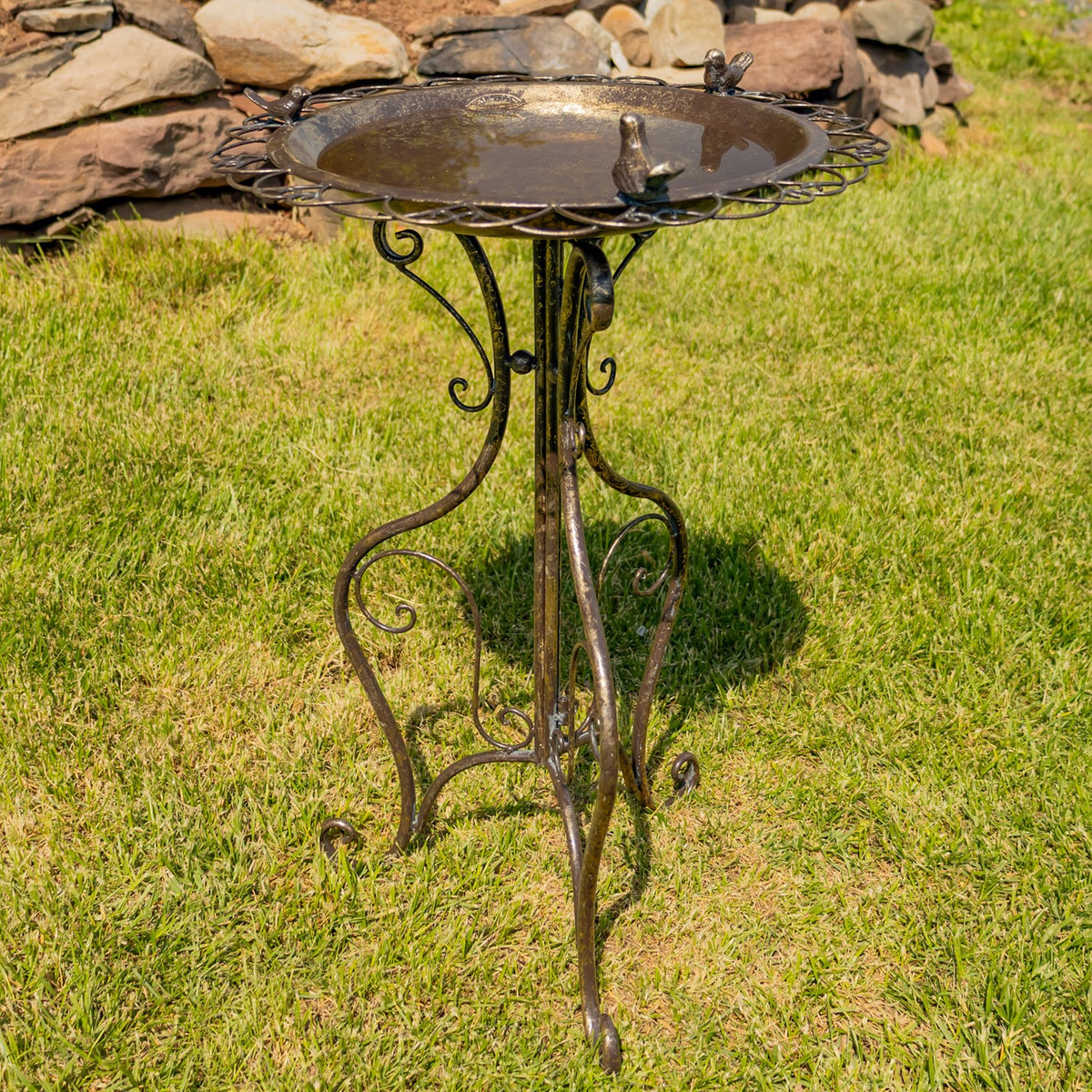 Ornate dark metal birdbath with small bird figures on a curled stand in a grassy yard.