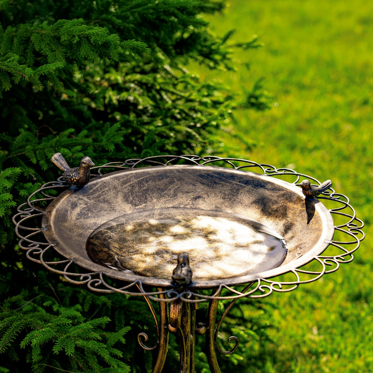 Ornate round metal birdbath with three small bird figures on the rim, set among greenery.
