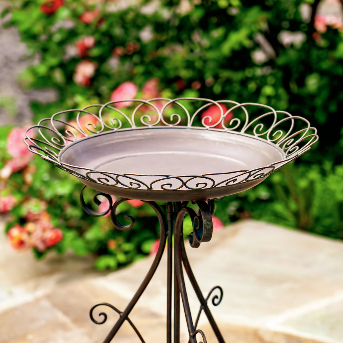 Close view of the birdbath's shallow bowl and intricate looping metal rim