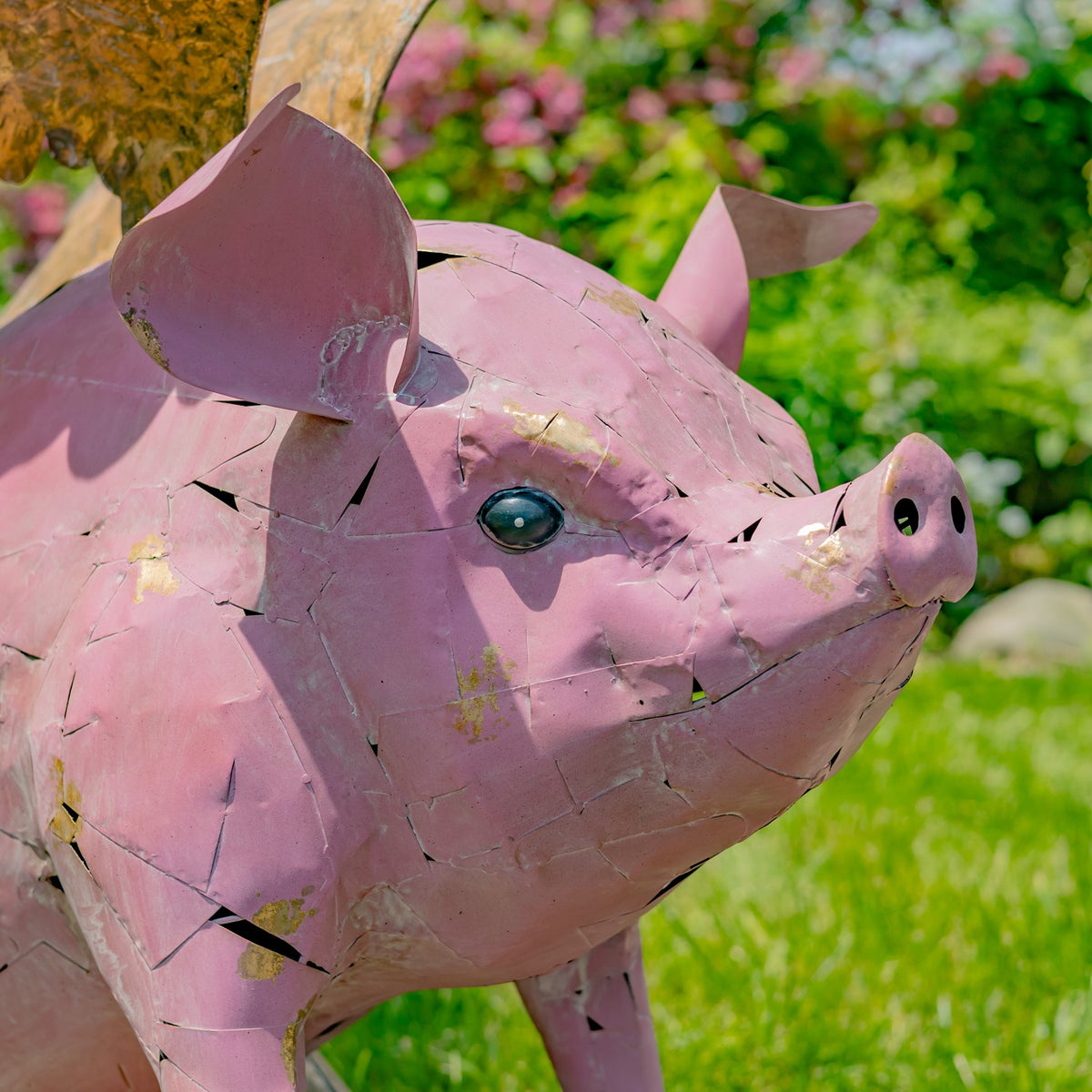 Close-up of the pig’s pink metal face, rounded snout, black eye, and angular ear.