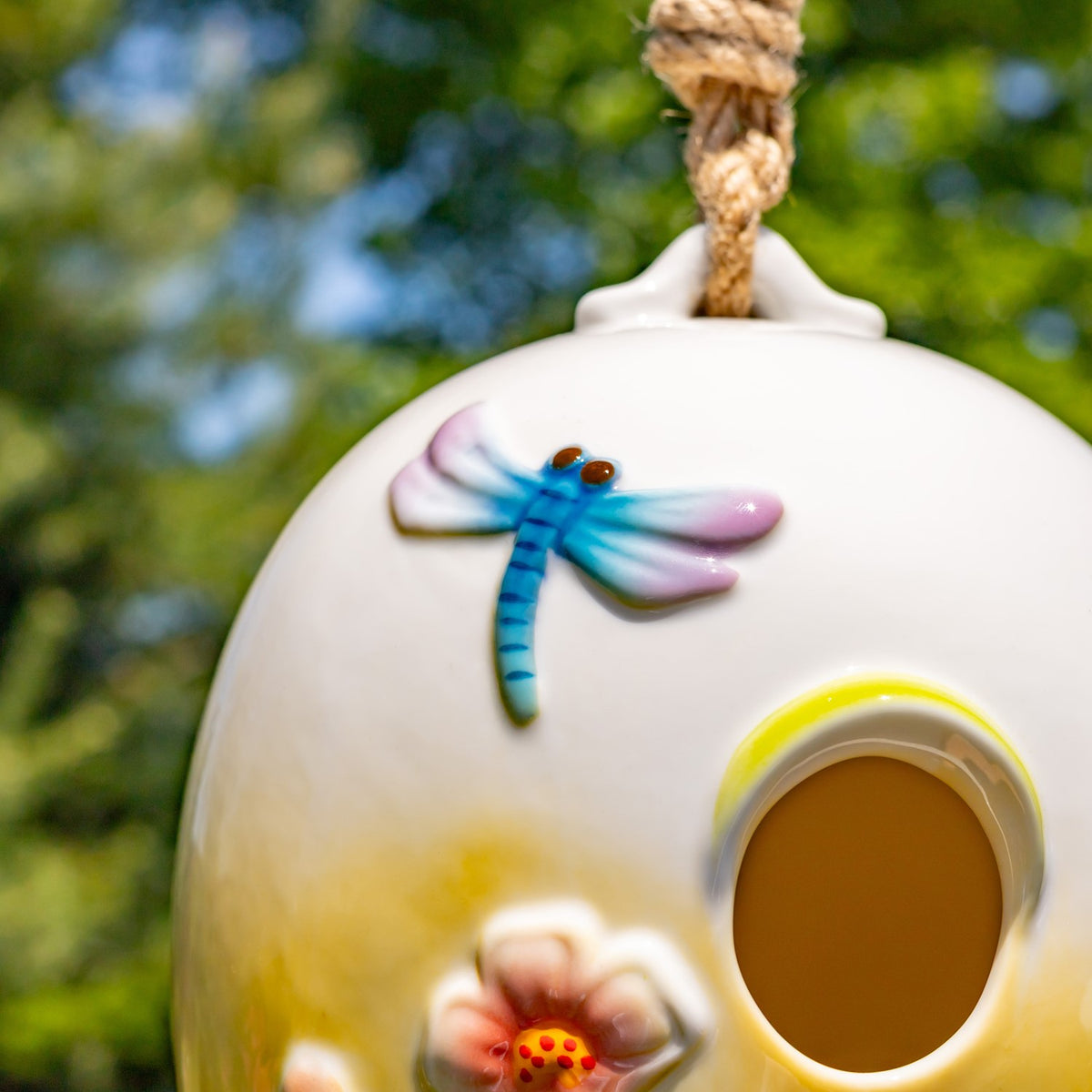 Close-up of a blue dragonfly beside the birdhouse entrance and a raised flower.