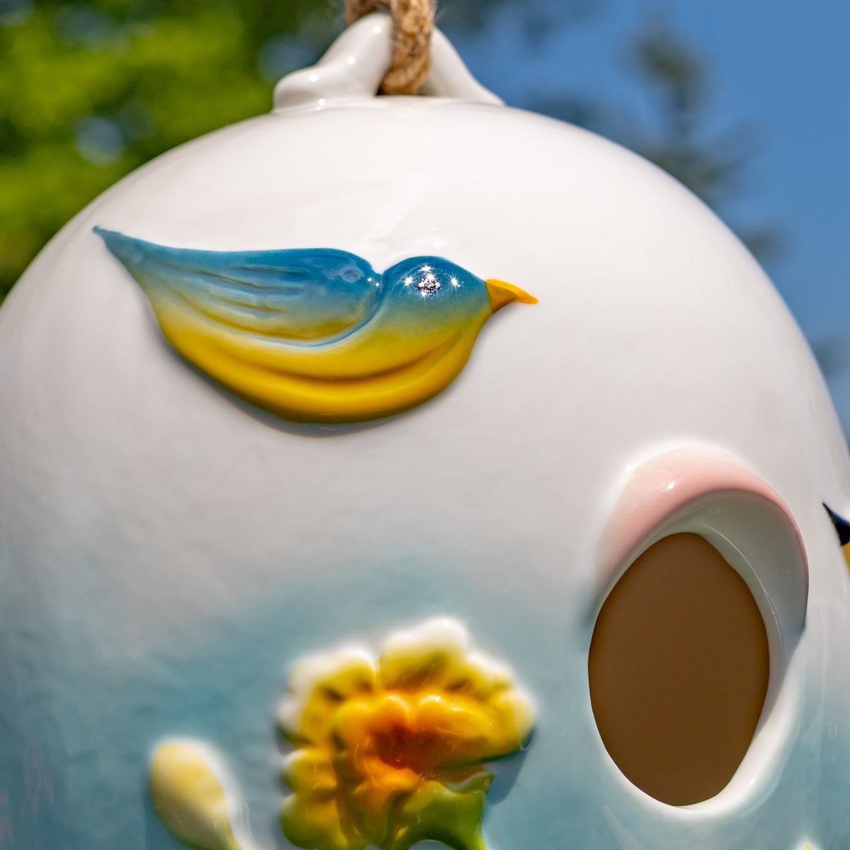 Close-up of a raised blue-and-yellow bird on the glossy birdhouse beside the round entrance.