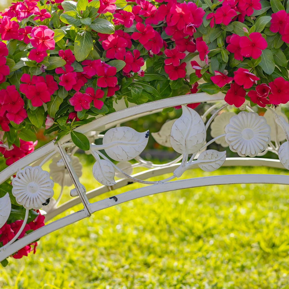 Bright pink flowers spill over the ornate white metal arch, with leaf and flower decorations below.