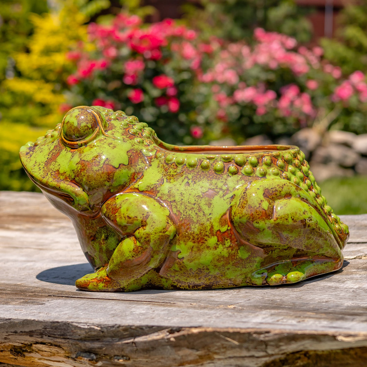 17" Hand Painted Ceramic Frog Planter "Rayne"