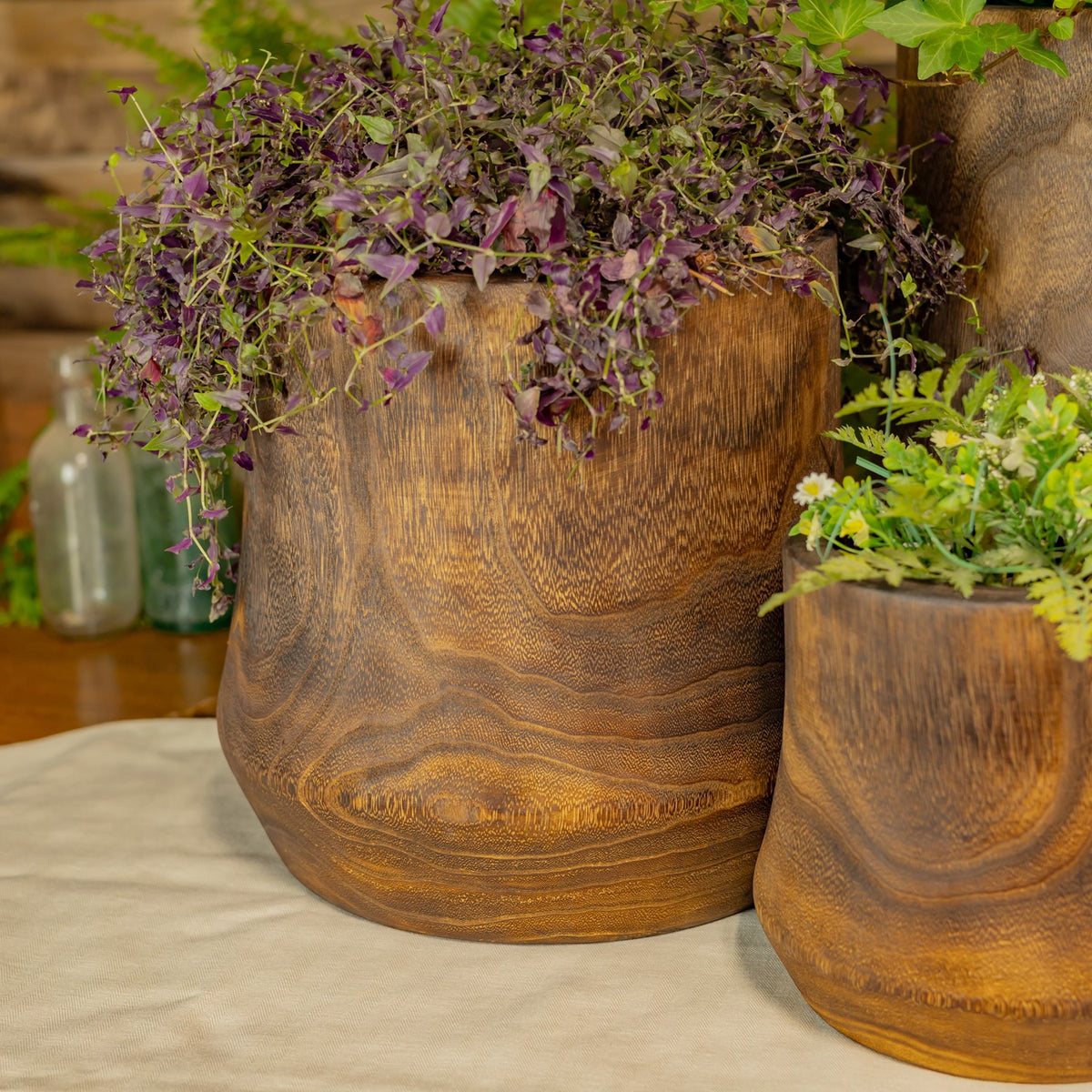 Close view of a large wooden bowl with purple foliage beside a smaller bowl of greenery.