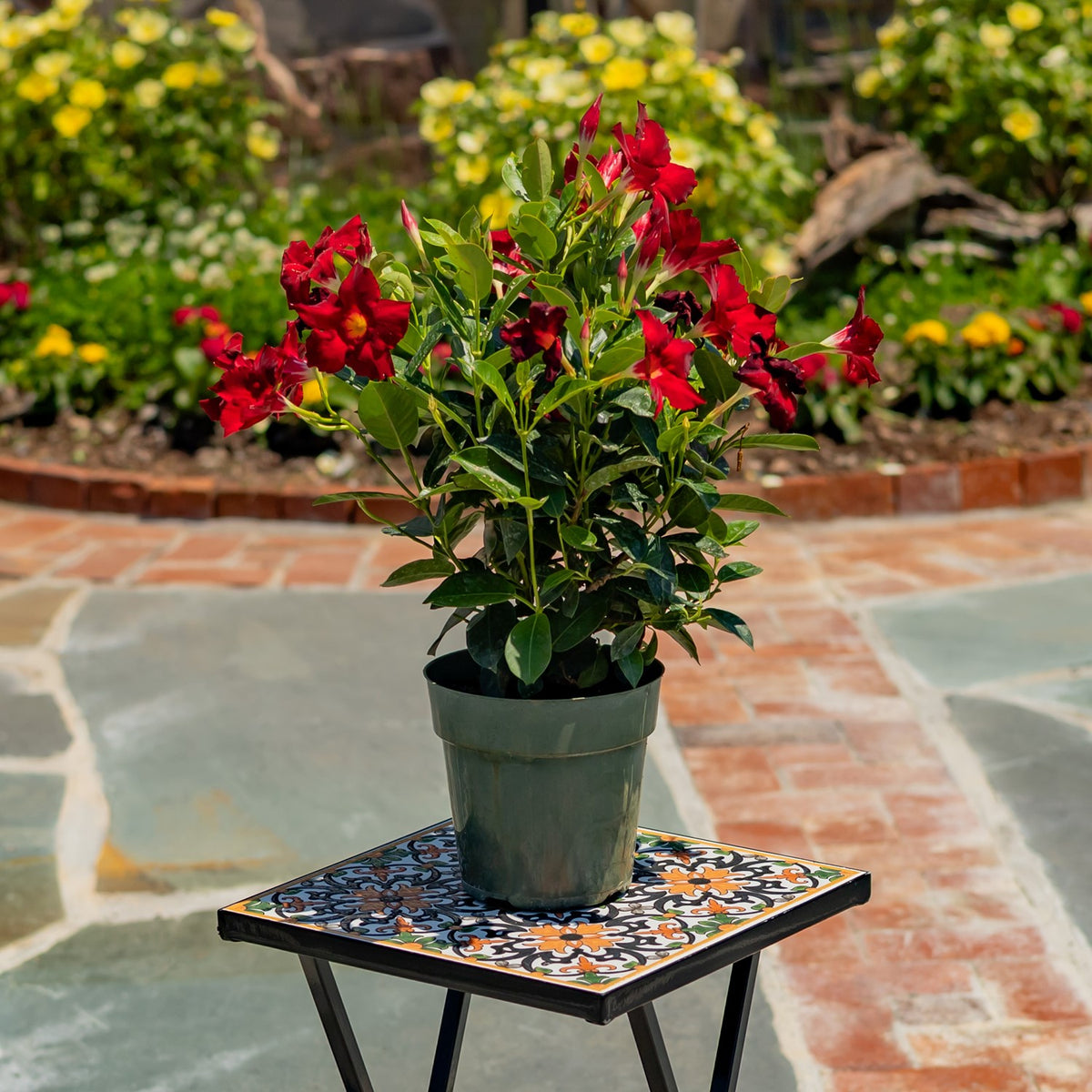A potted red-flowering plant sits on the mosaic-topped stand in a garden patio setting.