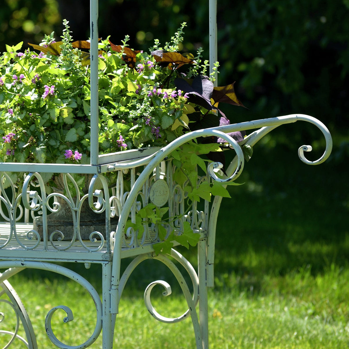 Curled metal handle and basket edge beside leafy pink-flowered plants.