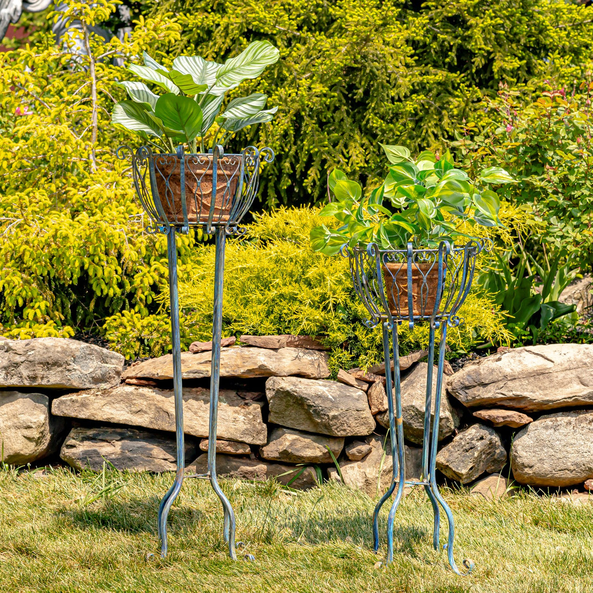 Set of 2 Tall Iron Basket Plant Stands "Stephania"