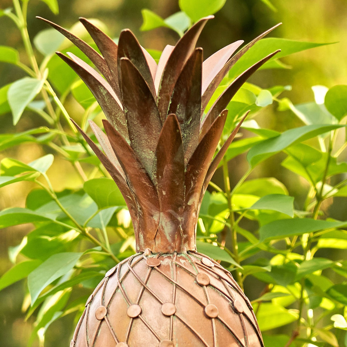 Close-up of the pointed copper-tone pineapple crown and body