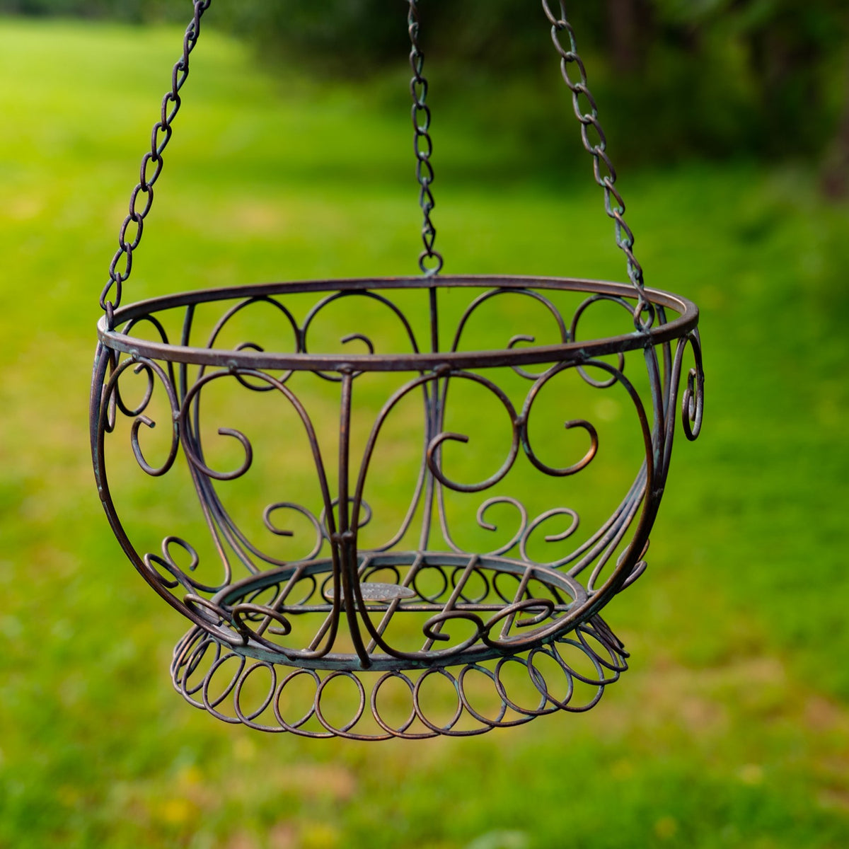 Closer view into the open hanging basket, showing its decorative metal frame, circular base, and supporting chains.