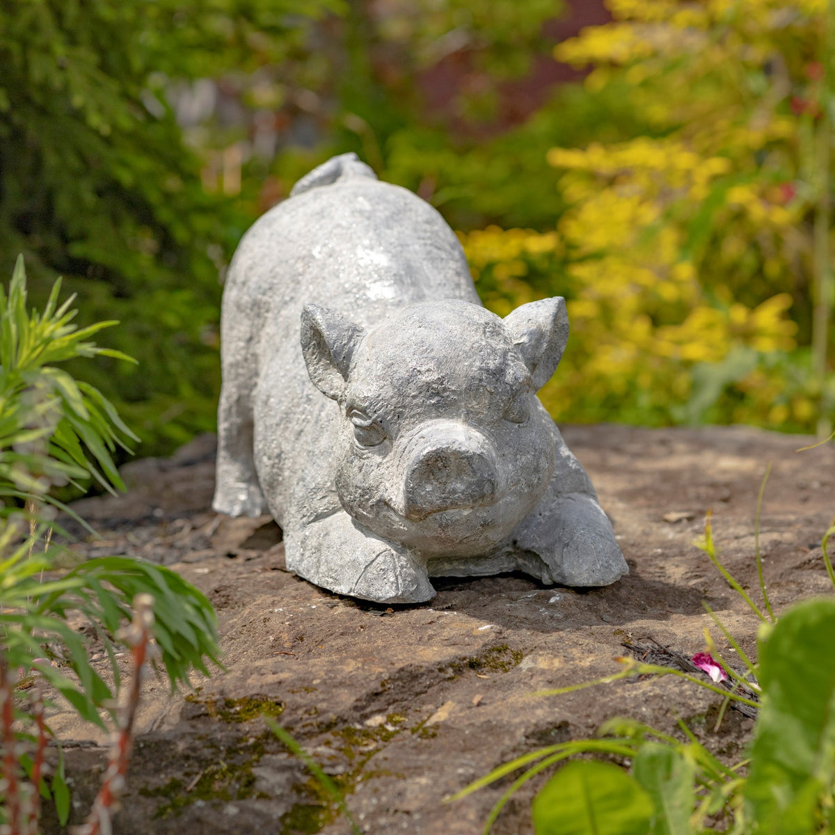 Small Magnesium Piglet Statue "Truffles"
