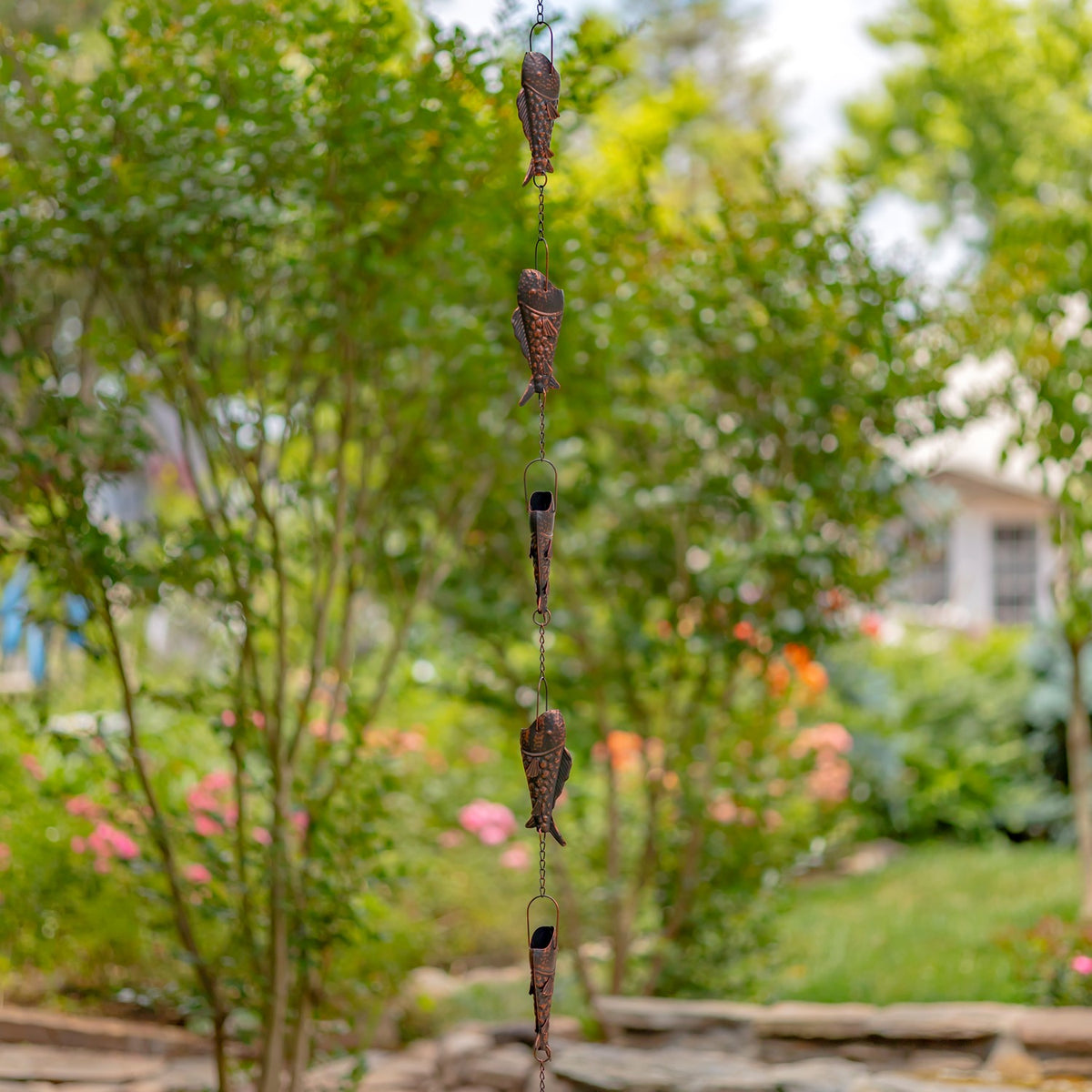 Long antique bronze trout rain chain hanging in a leafy garden