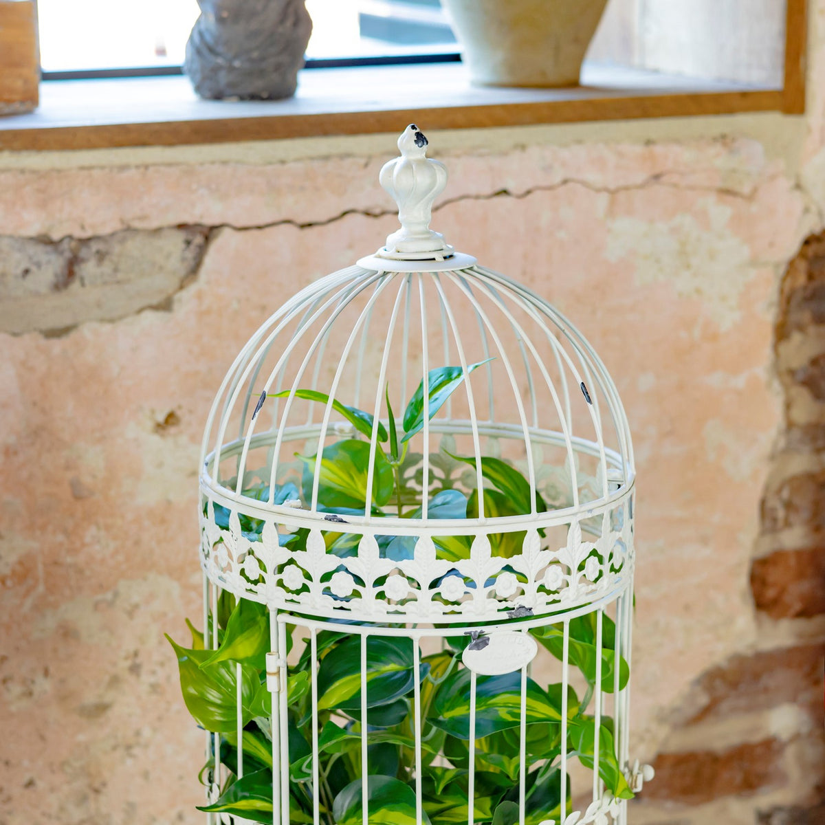 Antique white birdcage holding a leafy plant, shown from the front