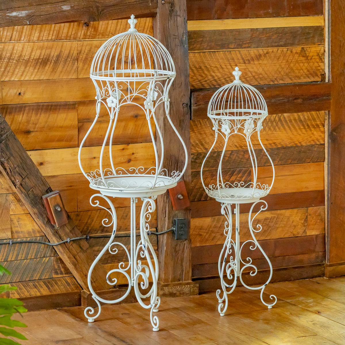 Full view of two white birdcage plant stands on a wood floor