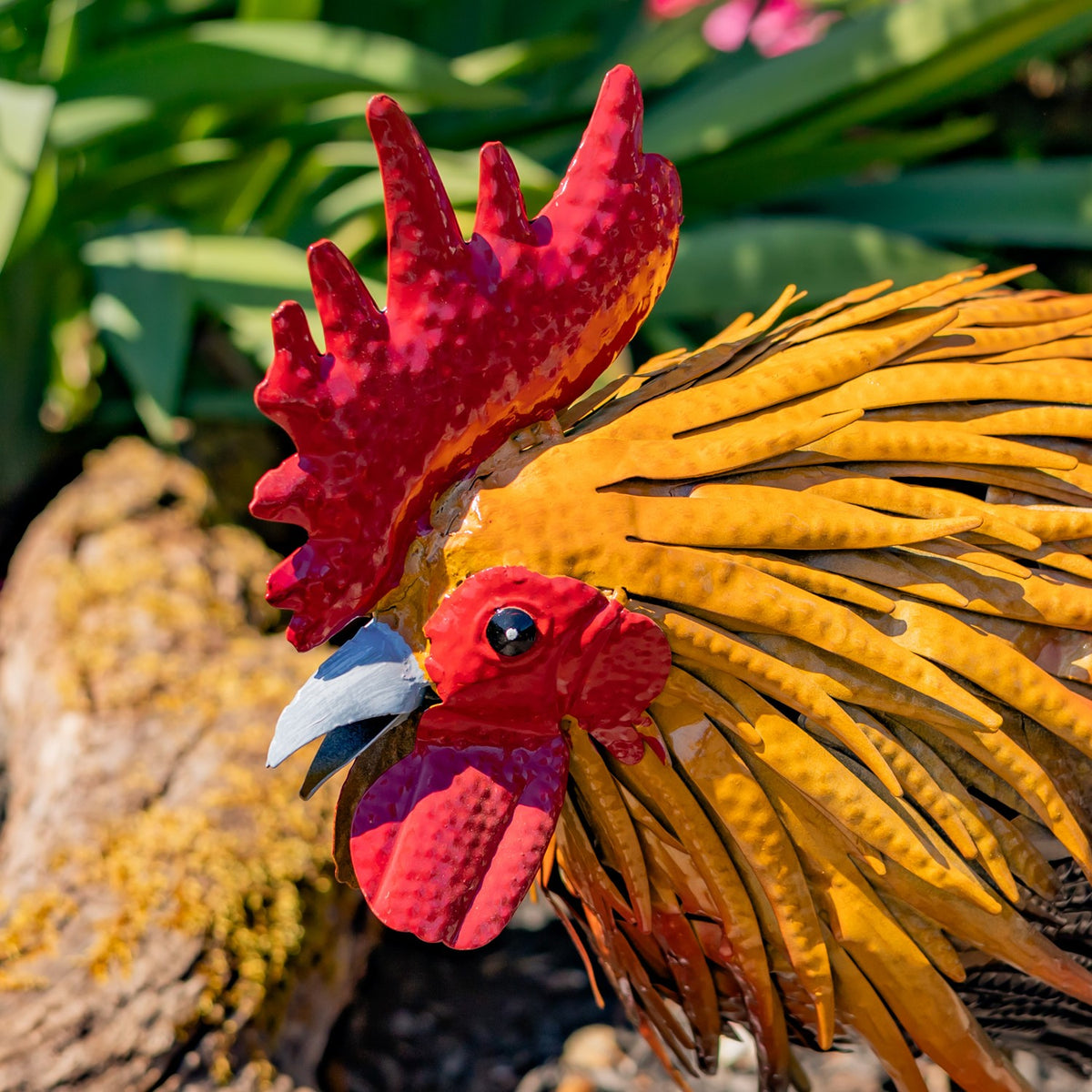 Close-up of the rooster's red comb, eye, and beak beside its orange feathers.
