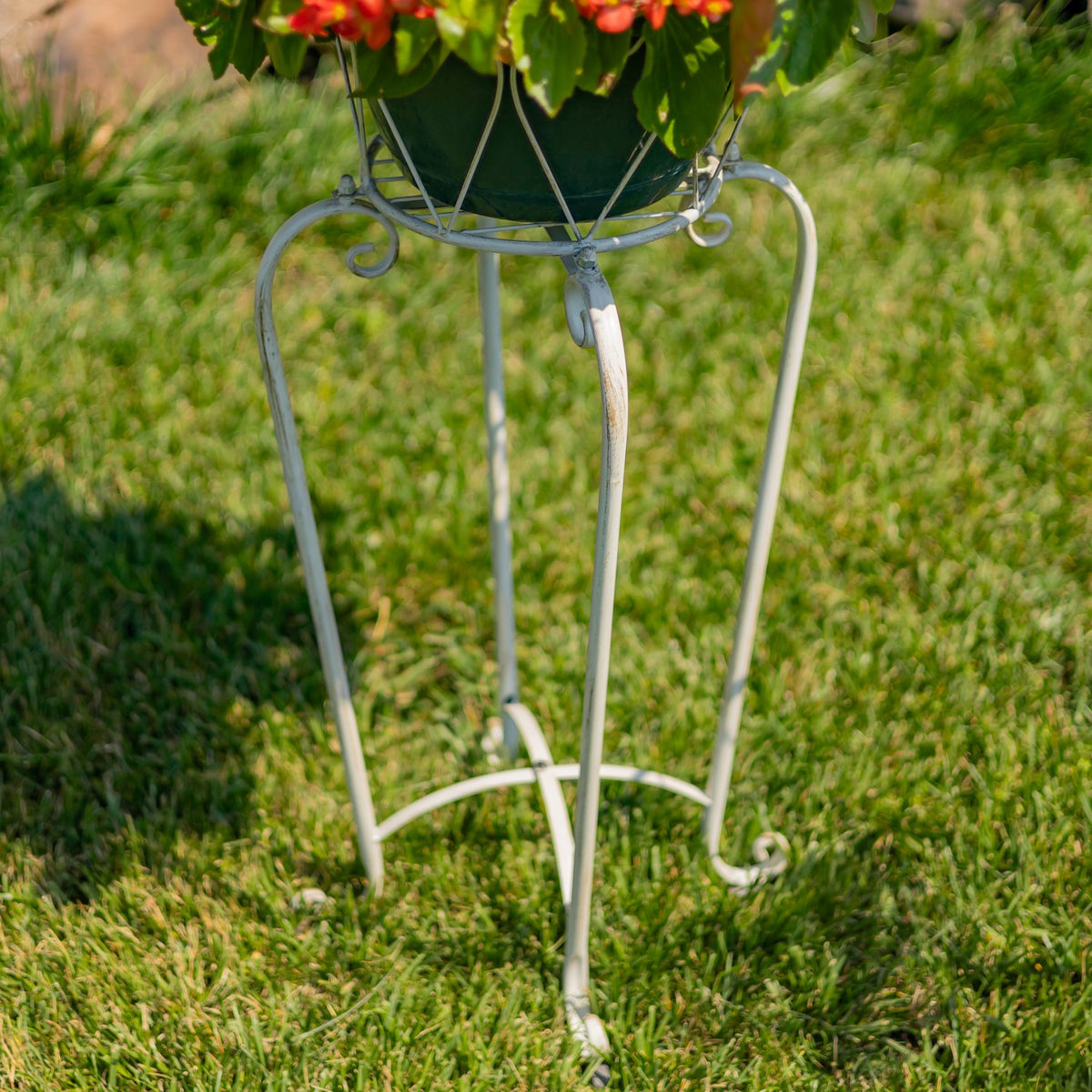 Close-up of a stand’s slender curved legs and curled feet on the grass.
