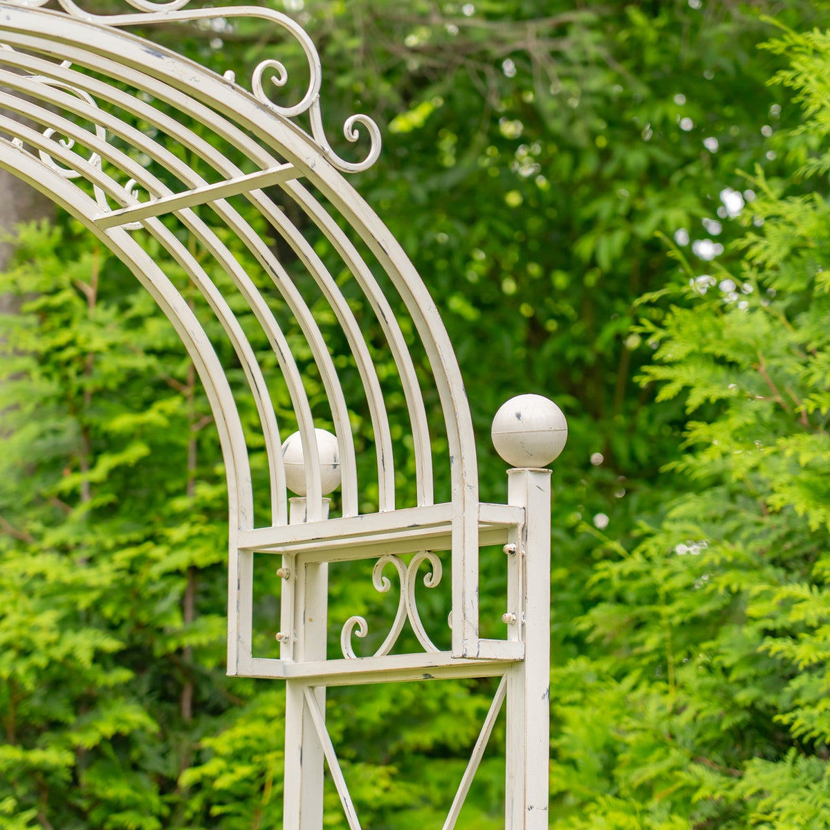 Close view of a pale arched metal frame with curved bars and ball-topped posts among greenery.
