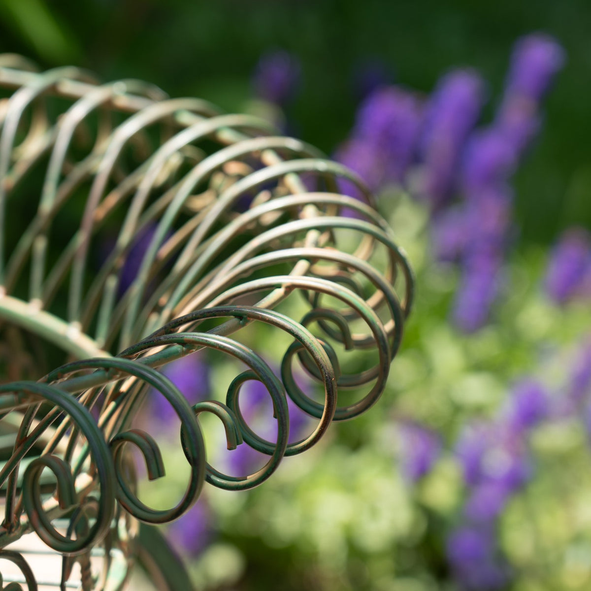 Close-up of the curved wire rim and scrollwork on a green metal plant stand.