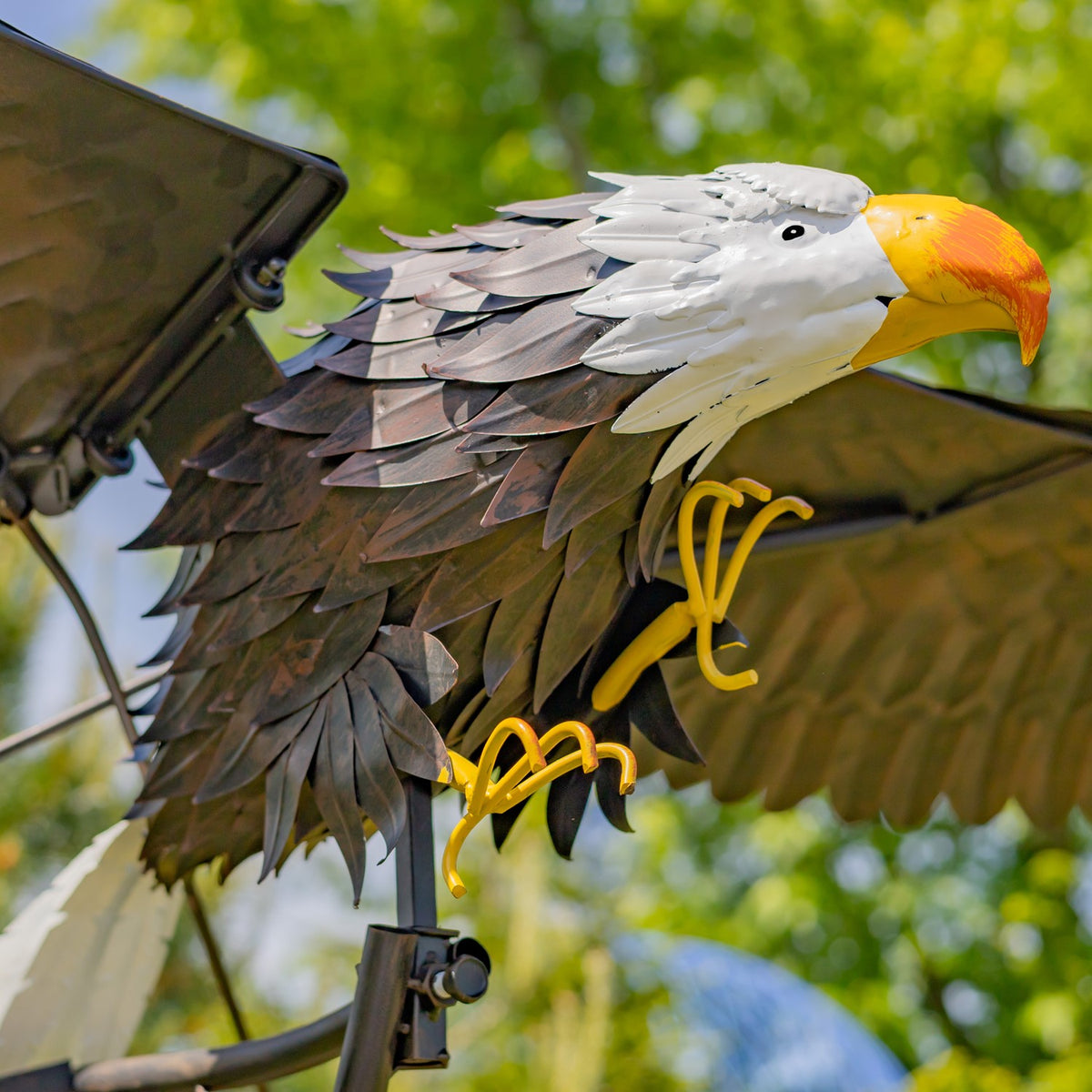 Close-up of the eagle's painted feathers, white head, and yellow beak