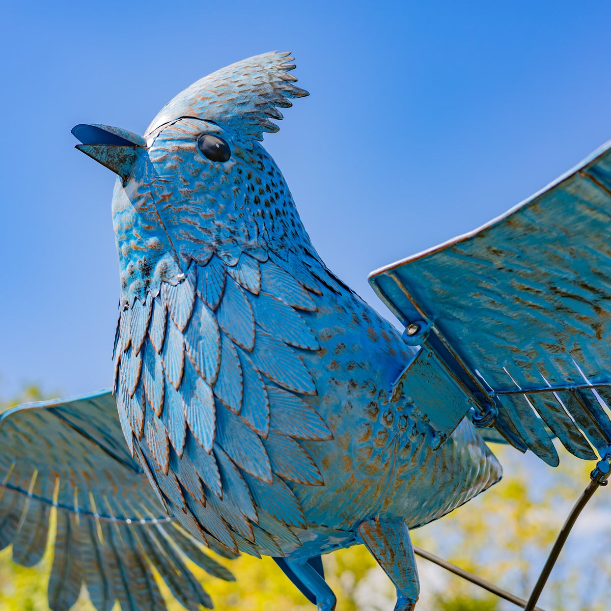 Close-up of the blue jay’s layered feather shapes, dark eye, beak and raised wing.