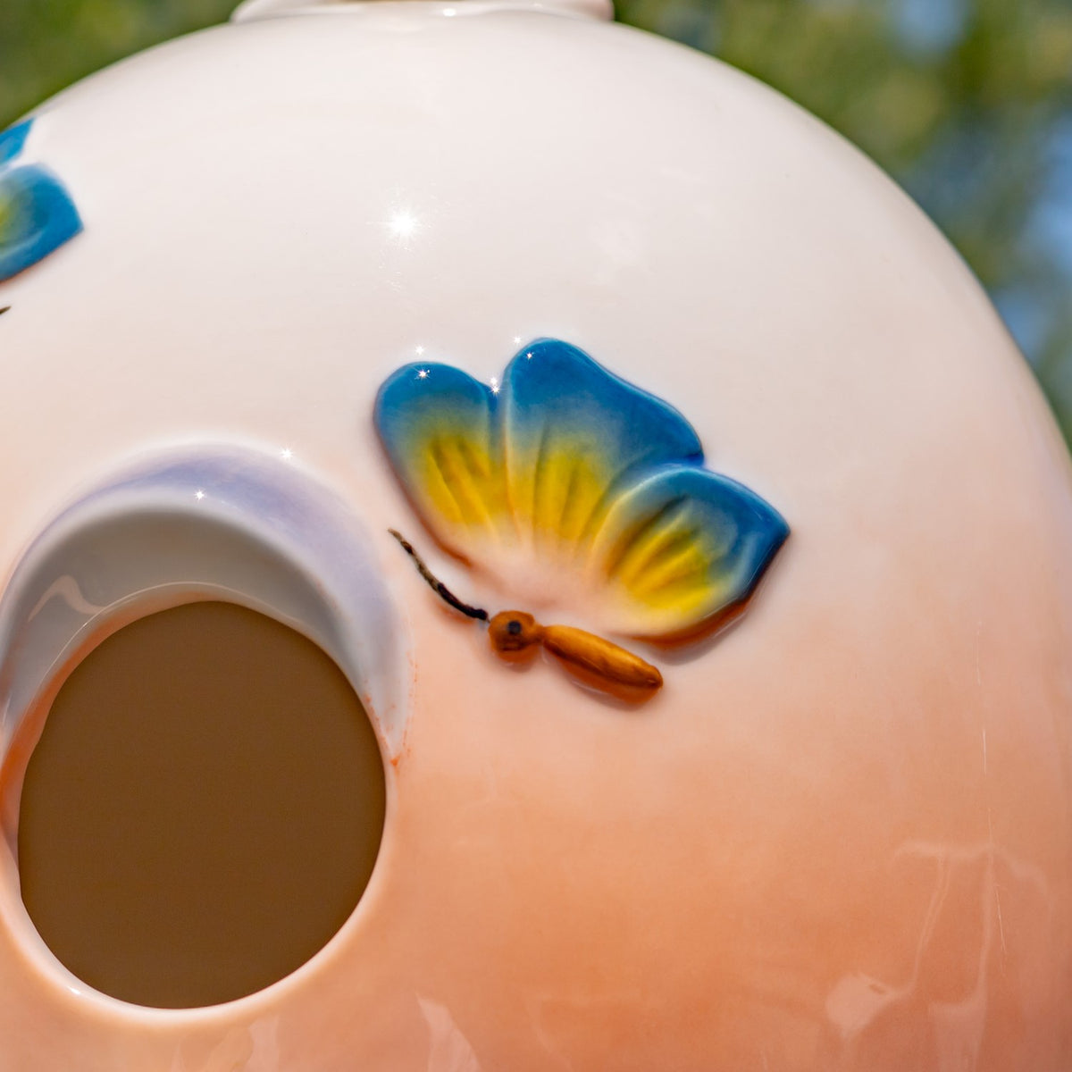 Close view of a yellow-and-blue butterfly beside the round entrance on the glossy birdhouse.