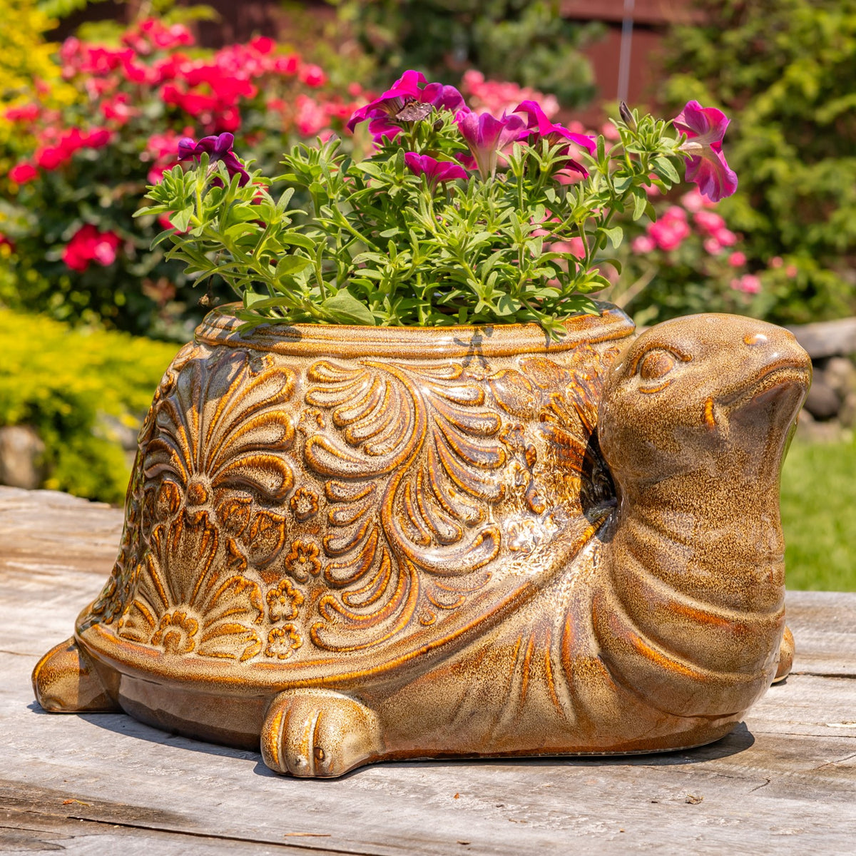 Turtle planter from the other side, its head turned right beneath a cluster of pink flowers.