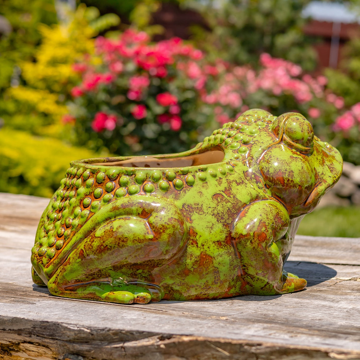 17" Hand Painted Ceramic Frog Planter "Rayne"