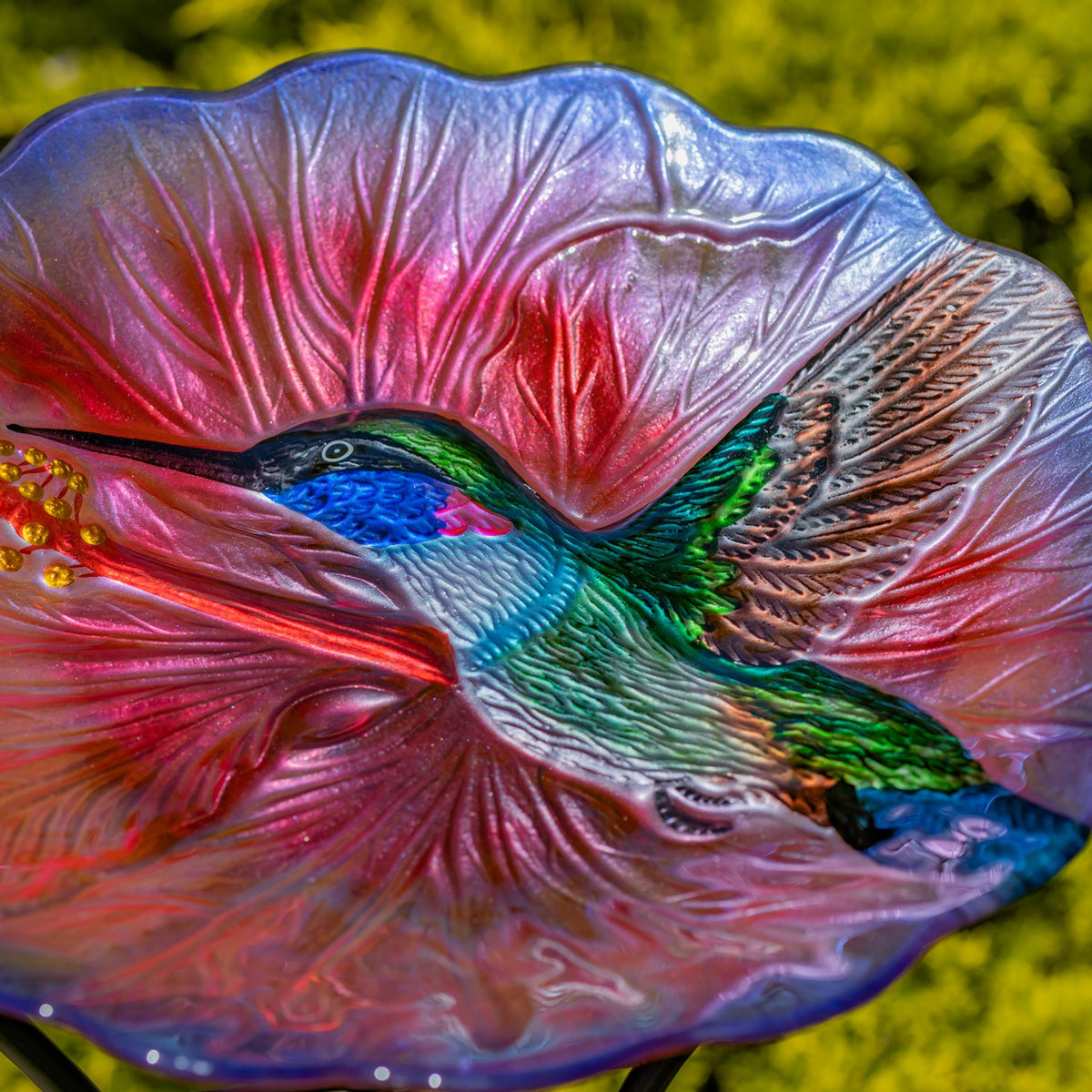 Close-up of the hummingbird’s raised wing and body against the textured pink and blue glass.