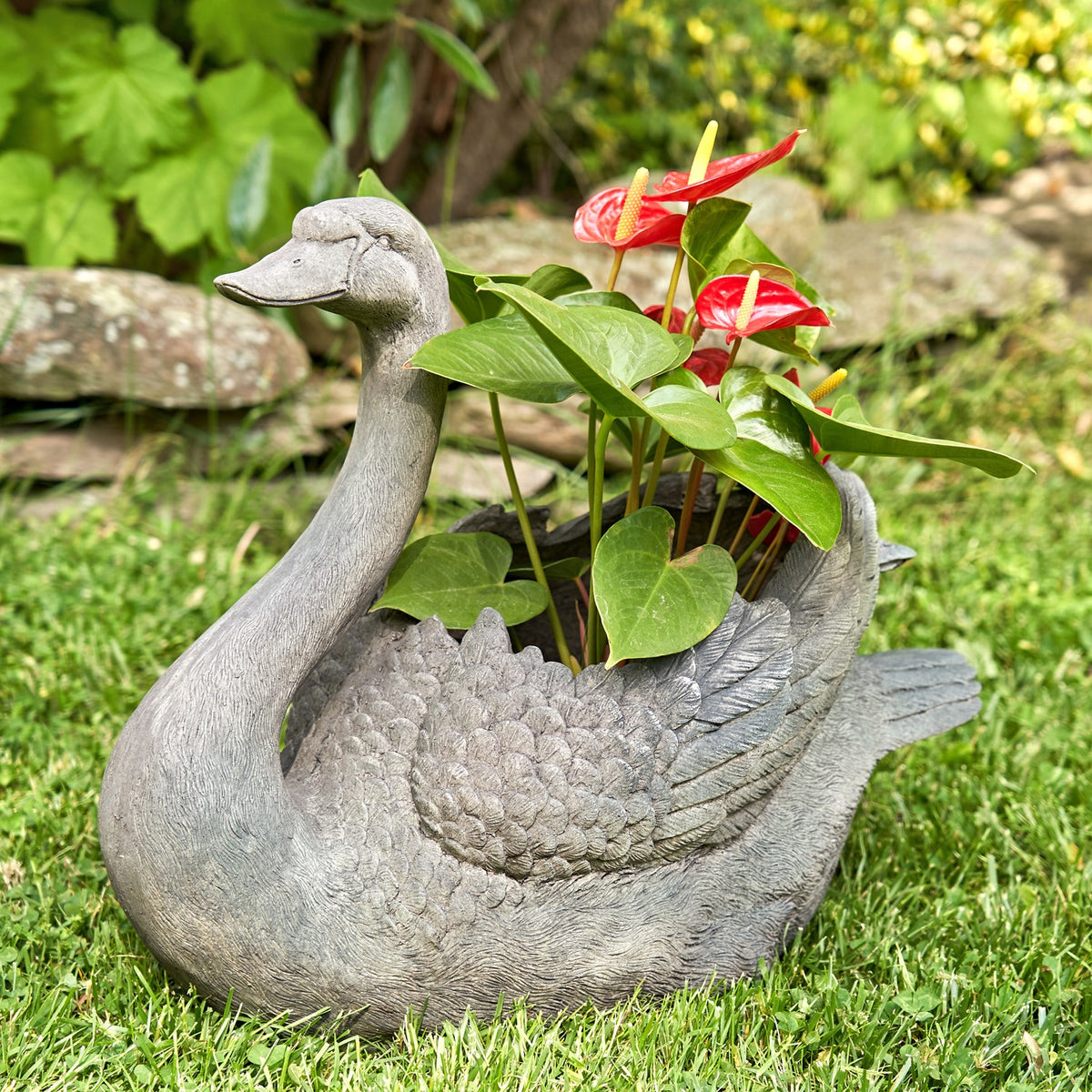 Set of 2 Magnesium Swan Planters "Derek & Odette"