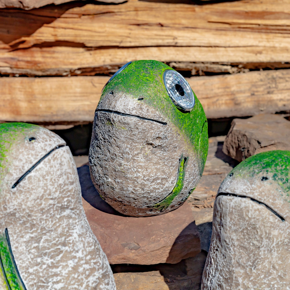 Set of 3 Solar Rock Frogs with Light Up Eyes