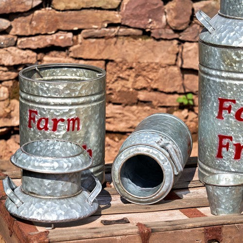Galvanized metal milk-jug planters, including a tipped vessel, arranged on a wooden surface.