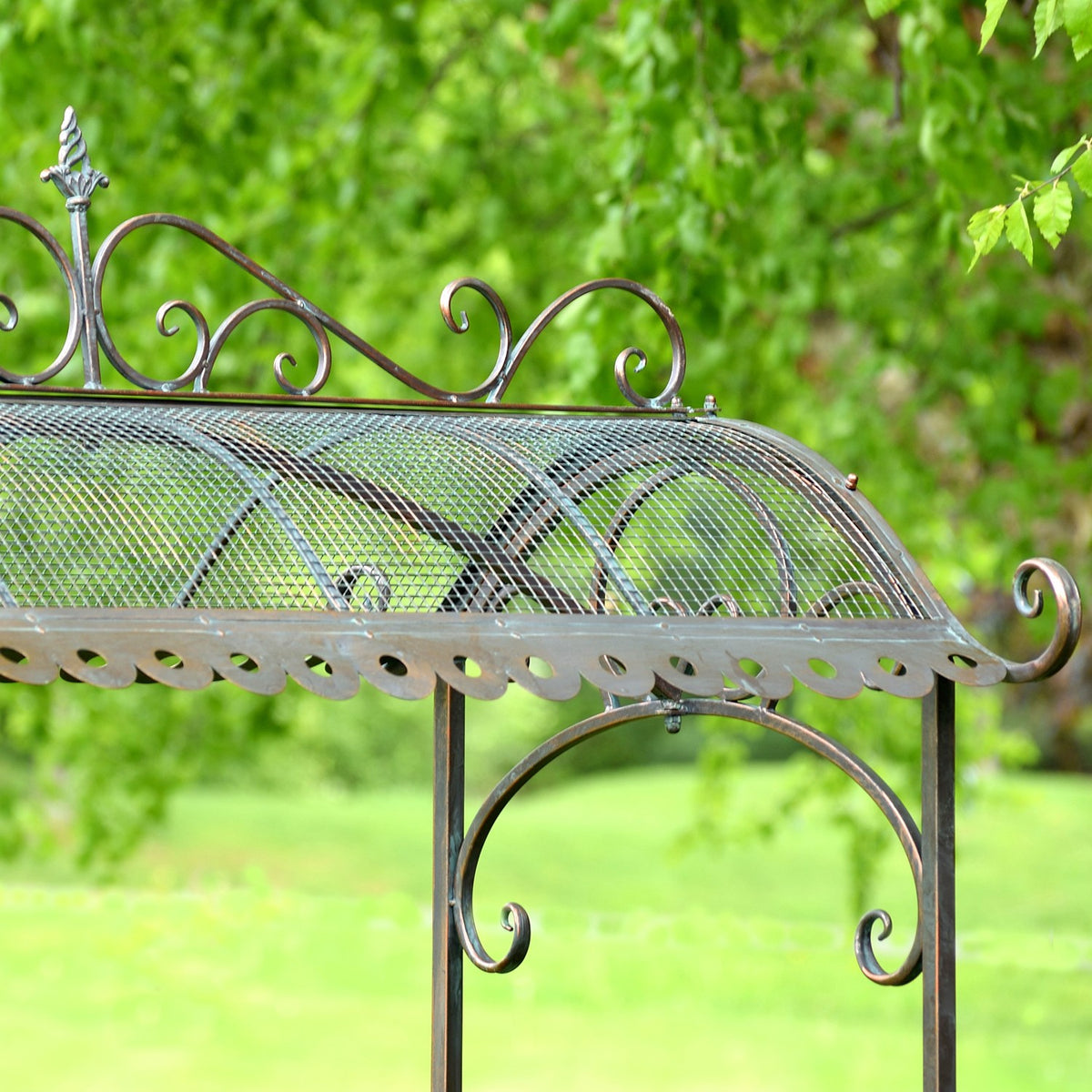 Close-up of an arched mesh roof with curled iron trim and decorative scrollwork against leafy greenery.