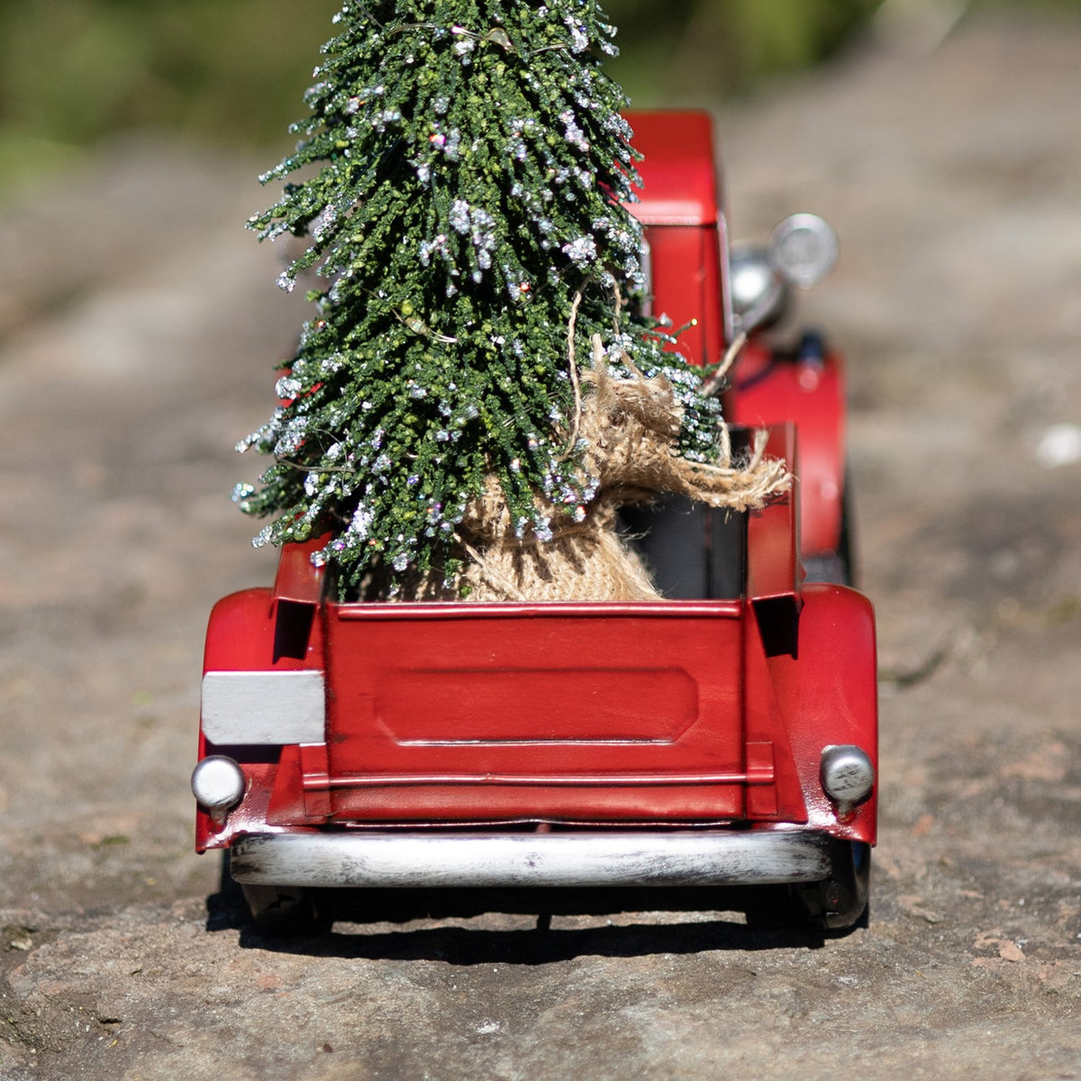 Rear view of a red pickup truck carrying a snow-dusted Christmas tree tied with burlap.