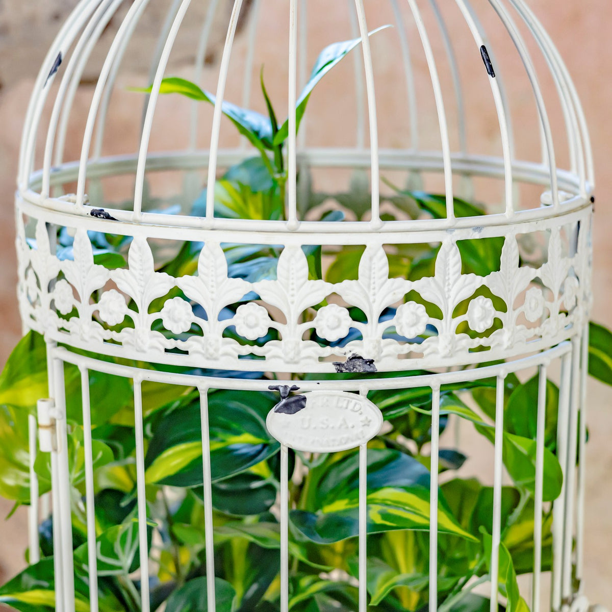 Close-up of ornate floral ironwork and a small plaque on a white birdcage
