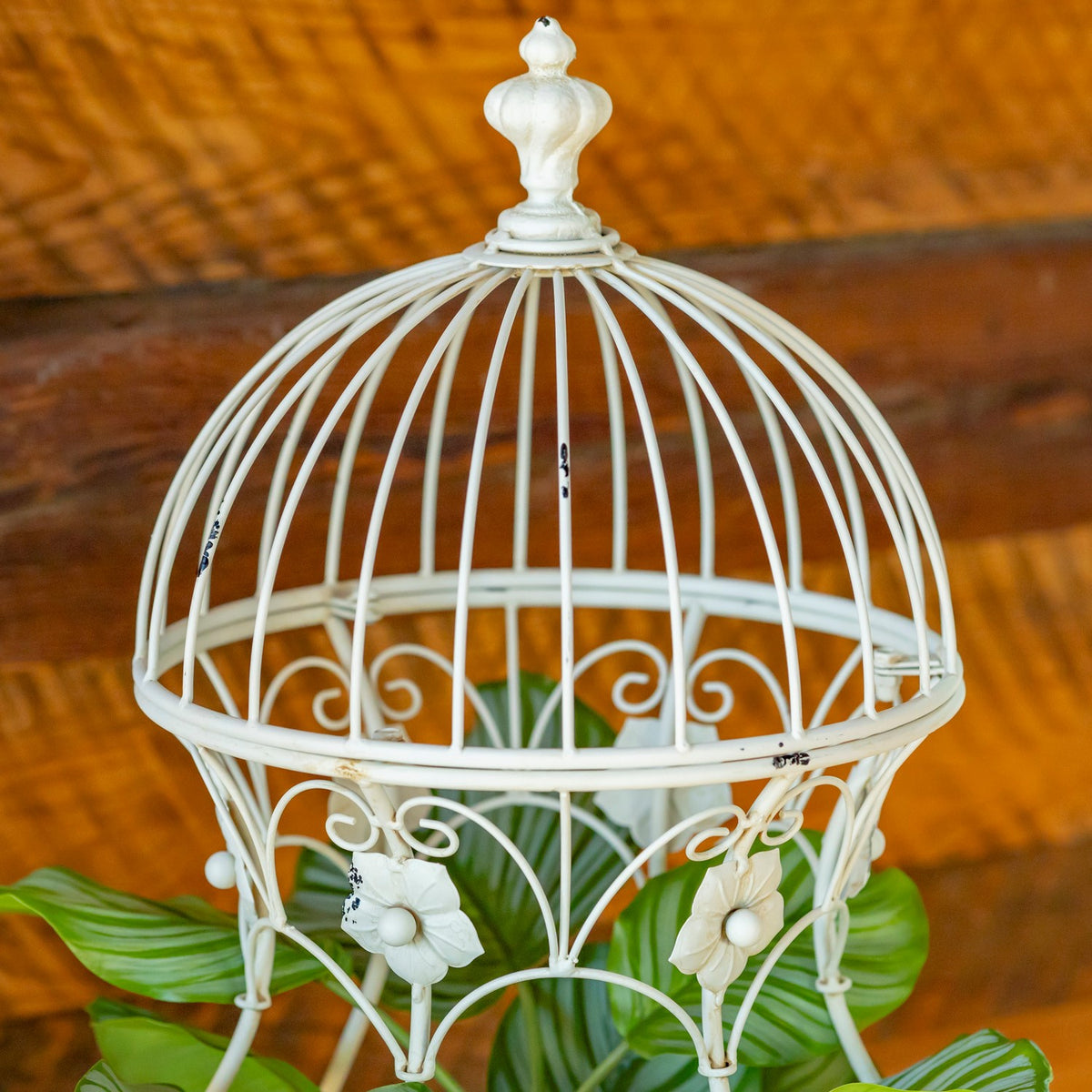 Close-up of a white birdcage plant stand with a leafy plant inside