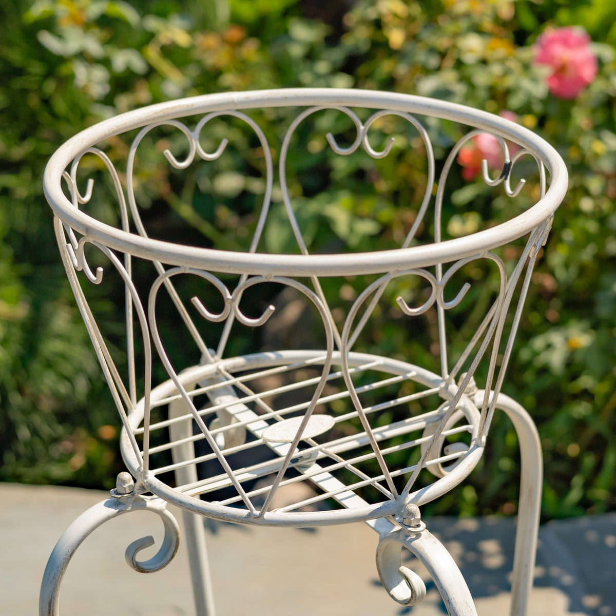 Antique-white metal plant stand basket with ornate curled wirework, photographed in a garden.