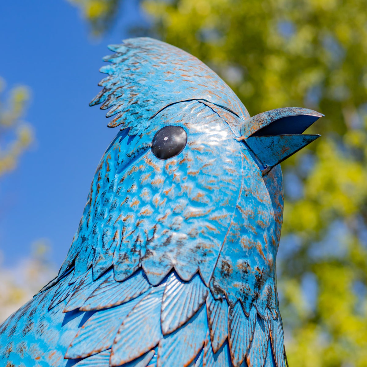 Close-up of a blue jay stake’s textured blue feathers, dark eye, and pointed beak against sky and foliage.